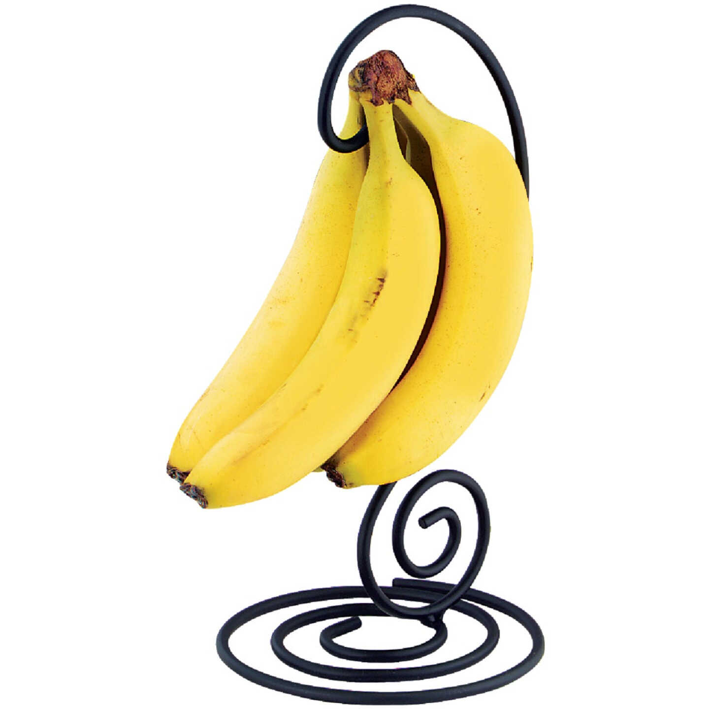 Spectrum Scroll Black Banana Tree Image 2